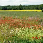 Lamadretierra Semesterbostad