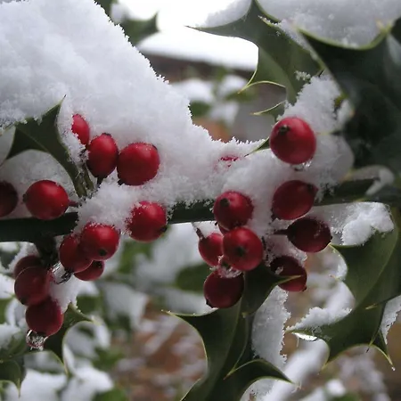 Lamadretierra * Villamejil