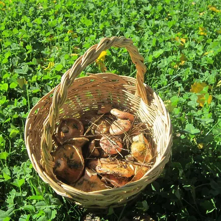 Tatil Evi Lamadretierra