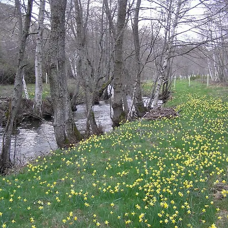 Lamadretierra Villamejil