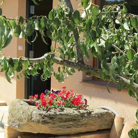 Lamadretierra