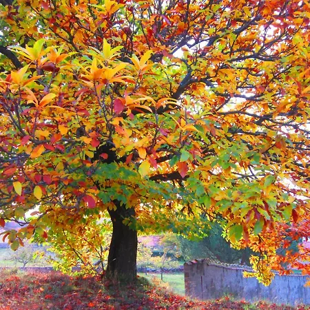 Lamadretierra Villamejil