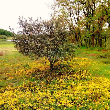 Lamadretierra Tatil Evi
