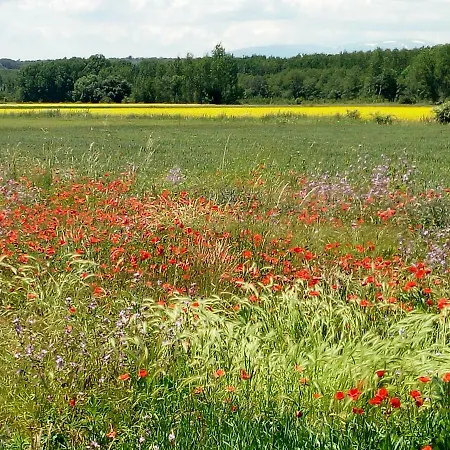 Lamadretierra 度假居