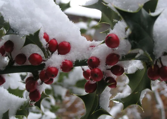 Lamadretierra * Villamejil