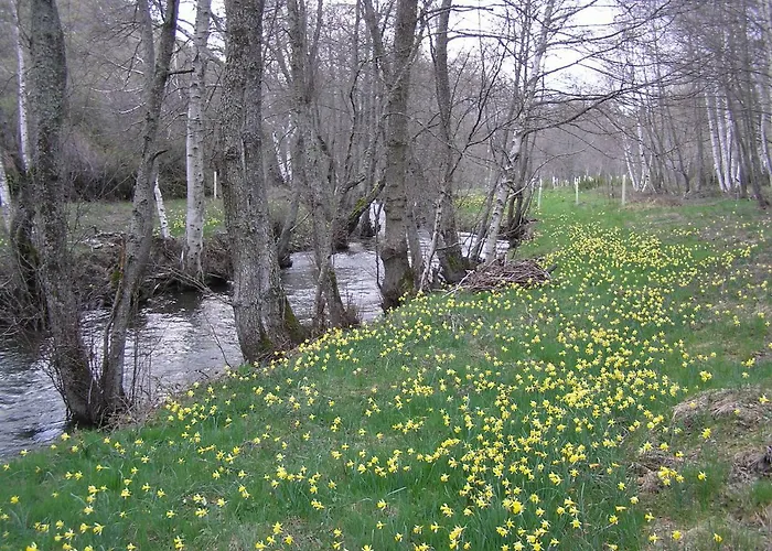 Lamadretierra Villamejil
