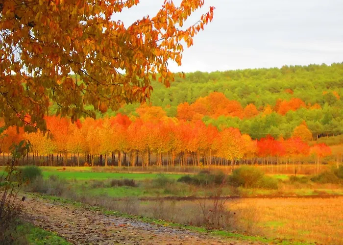 Lamadretierra בית נופש