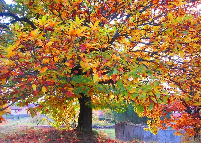 Lamadretierra Villamejil