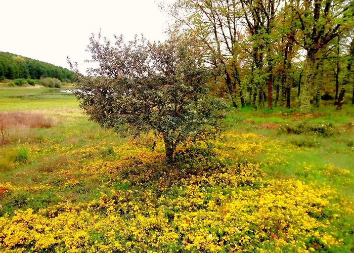 Lamadretierra בית נופש